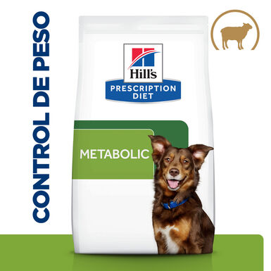 Hill’s Prescription Diet Metabolic cordeiro e arroz ração para cães